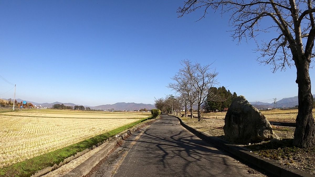 米沢県南公園自転車道 まほろばの緑道