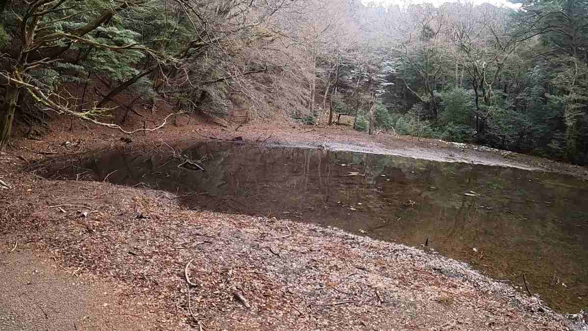 シラヌタの池